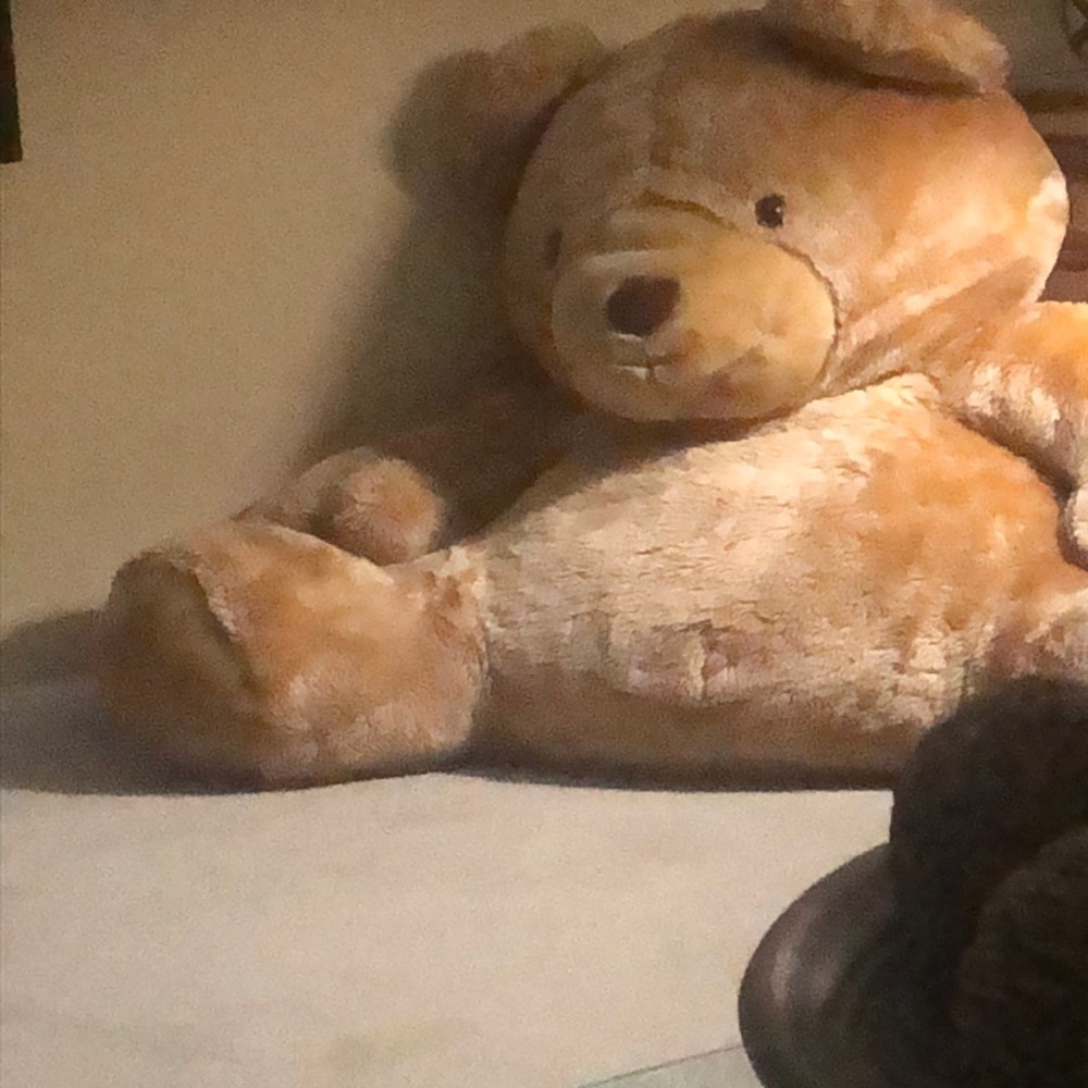 Meet your Posher, Ivania